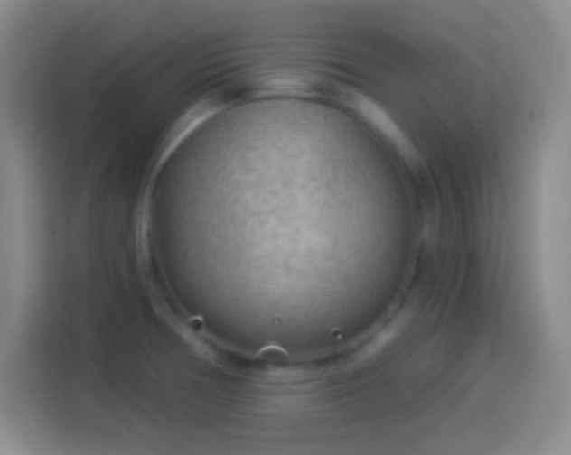 X0000113901378200910011334