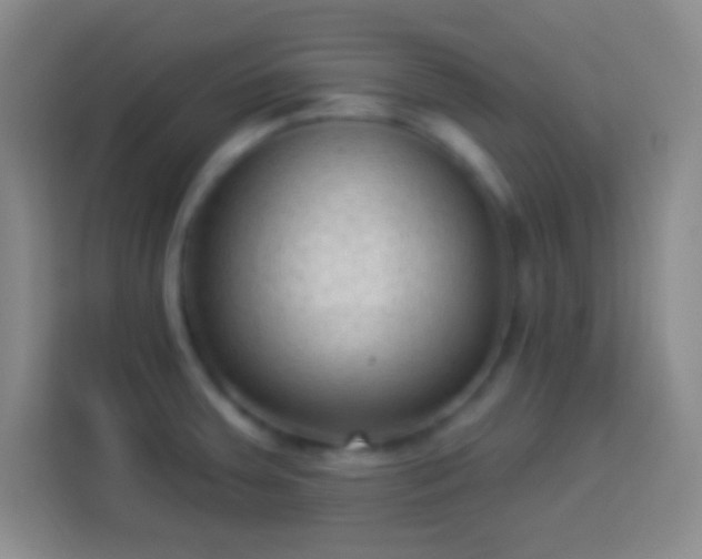 X0000113901379200910011334