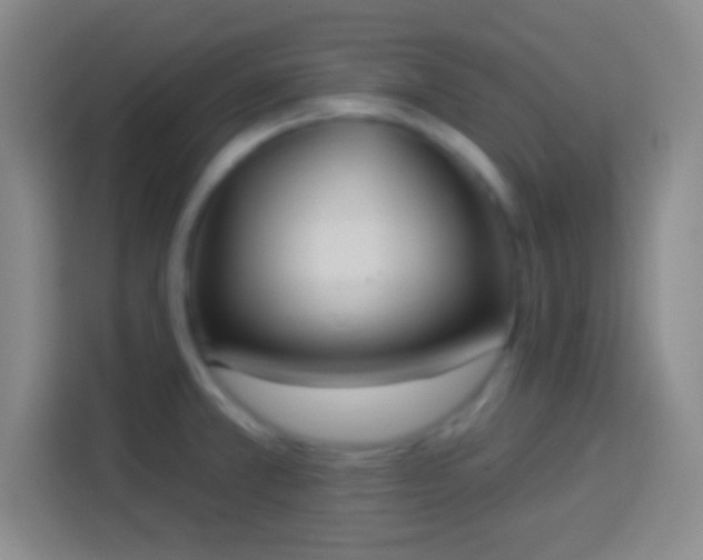 X0000113901381200910011334