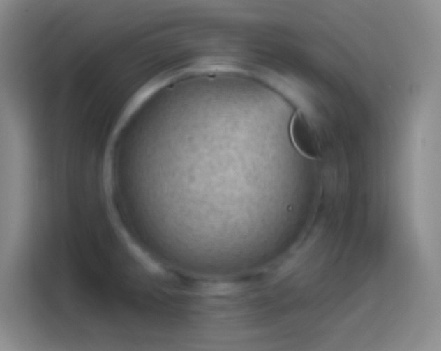 X0000113901382200910011334