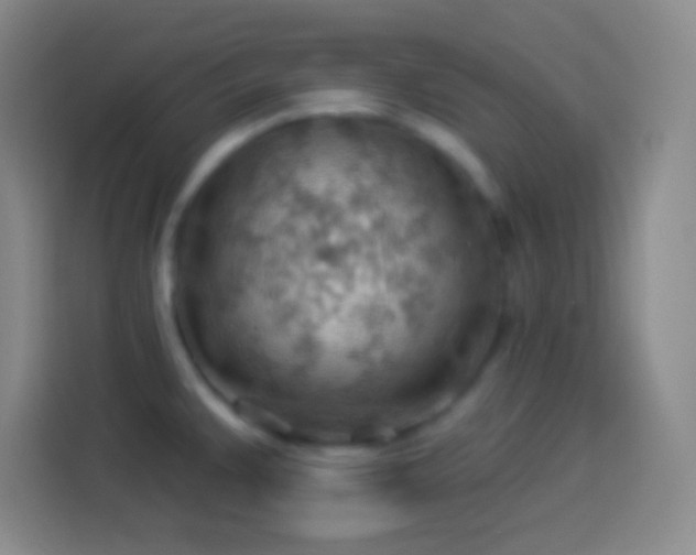 X0000113901383200910011334