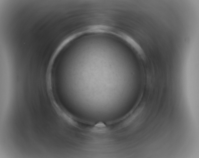 X0000113901384200910011334