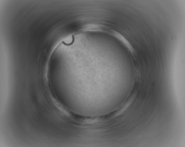 X0000113901386200910011334