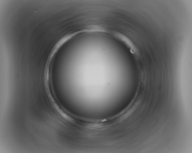 X0000113901387200910011334