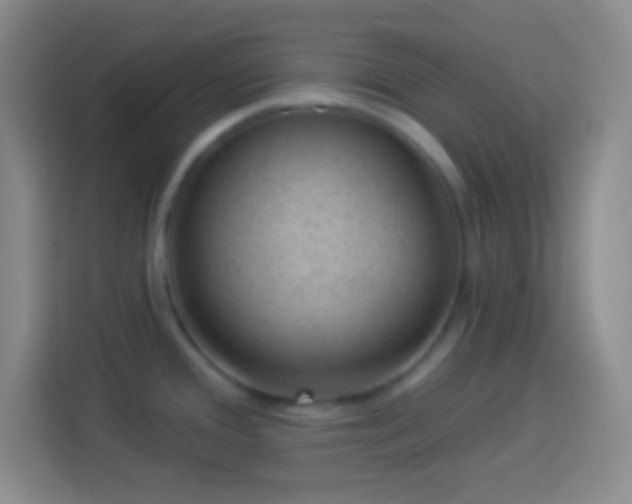 X0000113901388200910011334