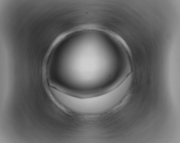 X0000113901389200910011334