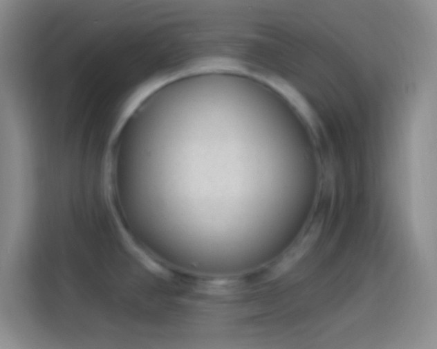 X0000113901390200910011334