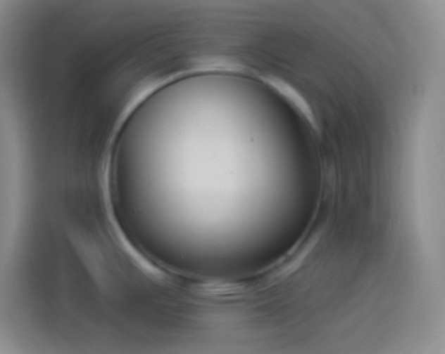 X0000113901391200910011334