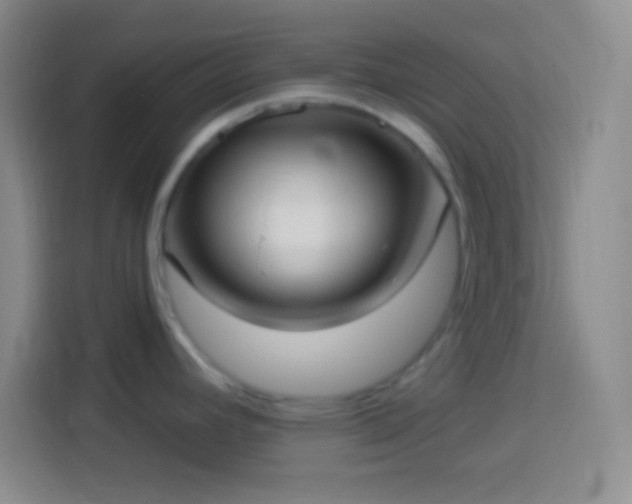 X0000113901392200910011334