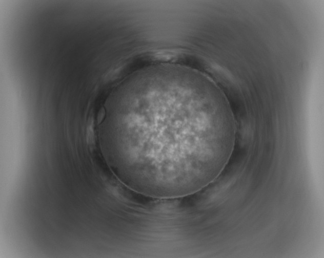 X0000113901394200910011333