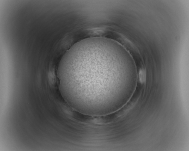 X0000113901395200910011333