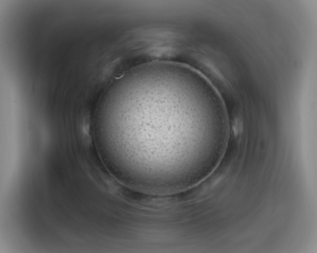 X0000113901396200910011333