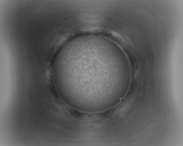 X0000113901397200910011333