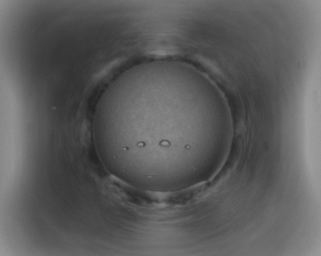 X0000113901398200910011333