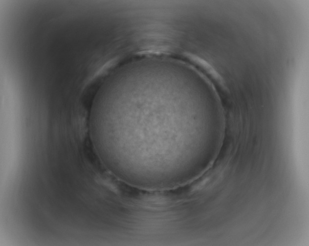 X0000113901399200910011333