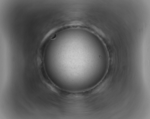 X0000113901400200910011333