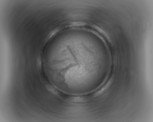 X0000113901401200910011333