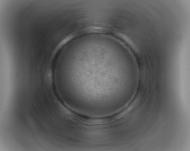 X0000113901402200910011333