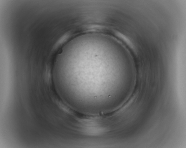 X0000113901403200910011333