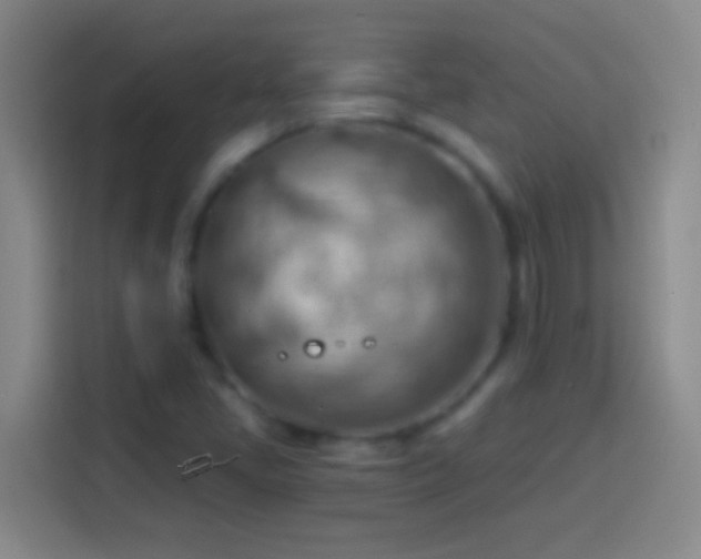 X0000113901405200910011333