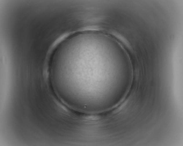 X0000113901406200910011333