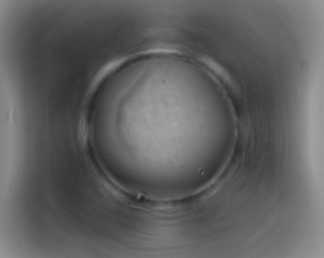 X0000113901408200910011333