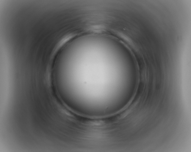 X0000113901410200910011333