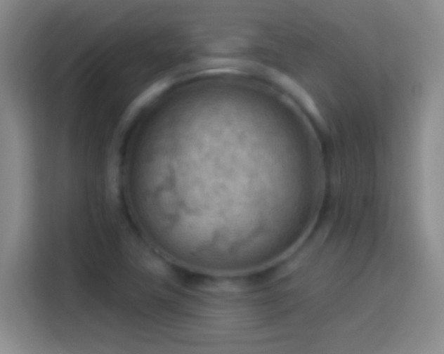 X0000113901411200910011333