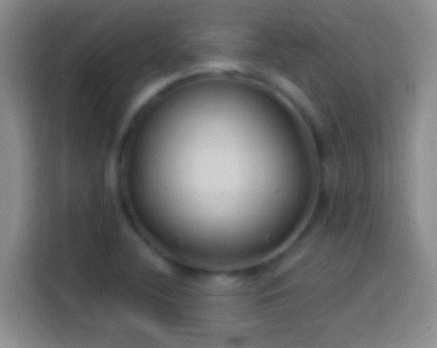 X0000113901412200910011333