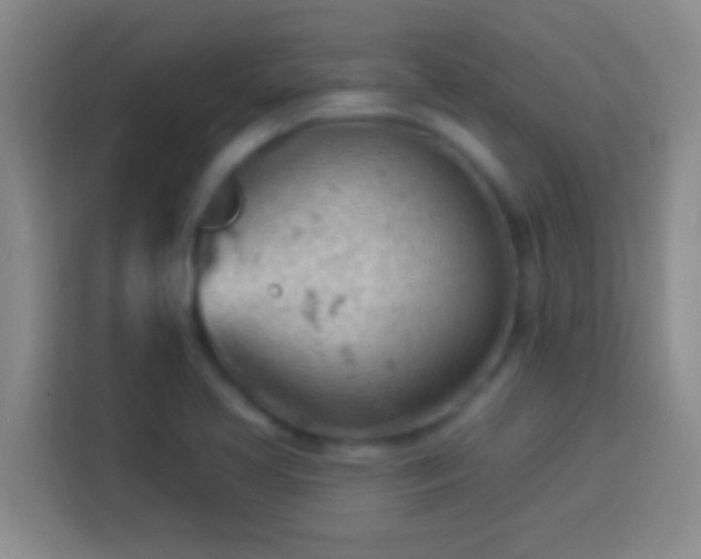 X0000113901413200910011333