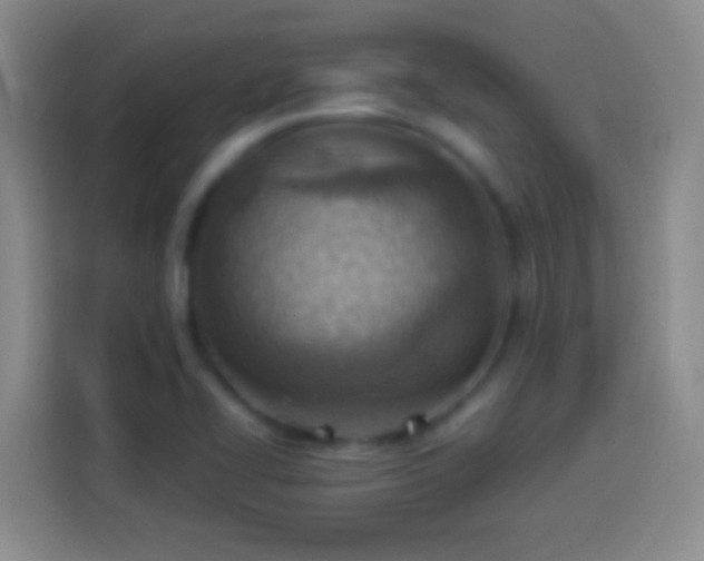 X0000113901414200910011333