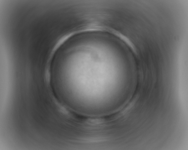 X0000113901415200910011333