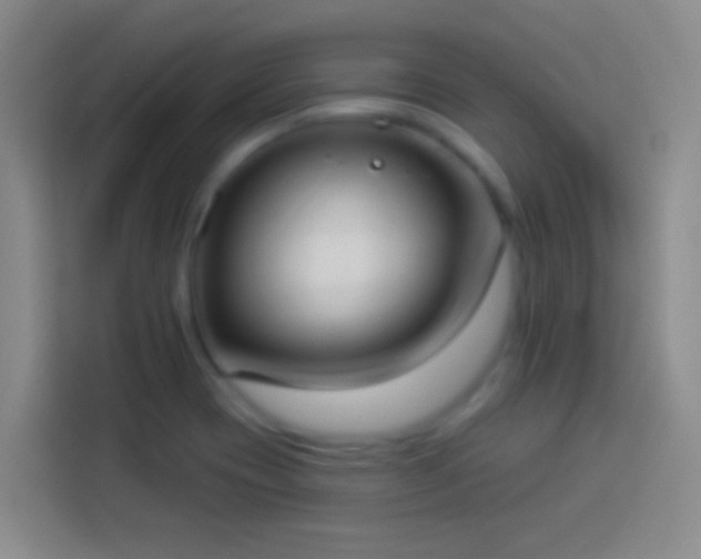 X0000113901417200910011333