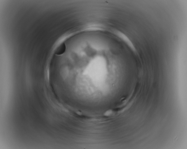 X0000113901419200910011333