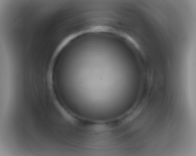 X0000113901422200910011333