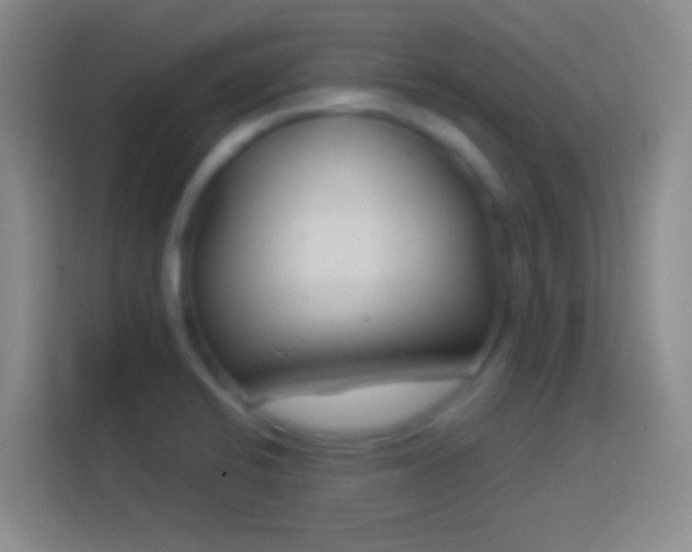 X0000113901424200910011333