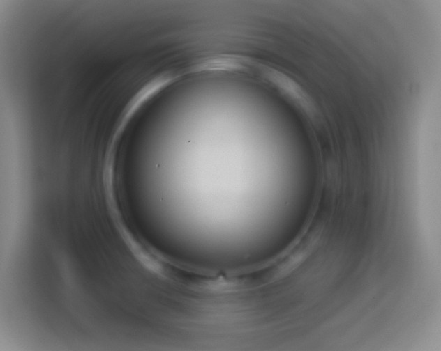 X0000113901426200910011333