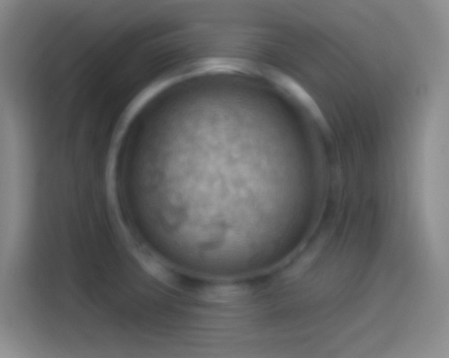 X0000113901427200910011333