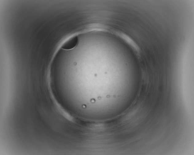 X0000113901431200910011334