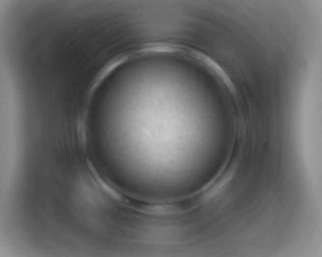 X0000113901433200910011334