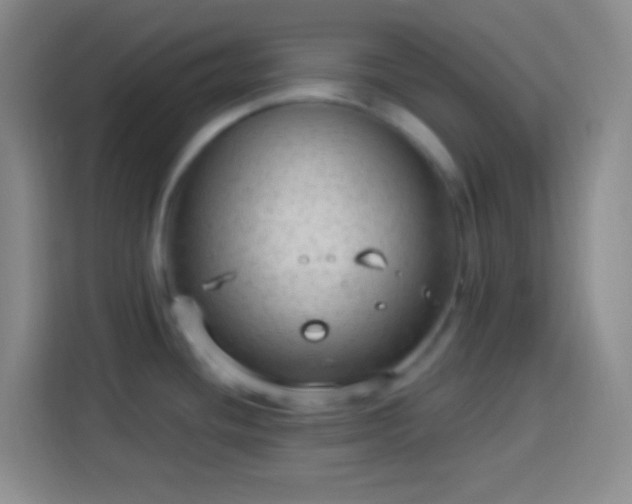 X0000113901436200910011334