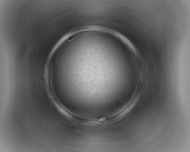 X0000113901438200910011334