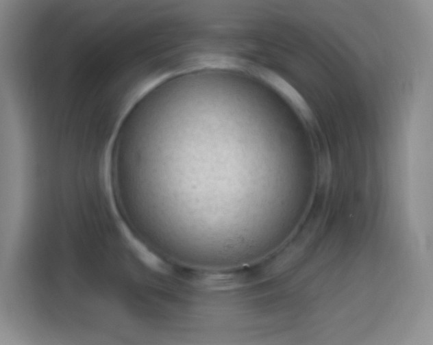 X0000113901439200910011334