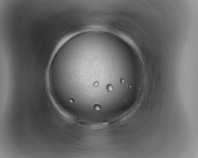 X0000113901440200910011334