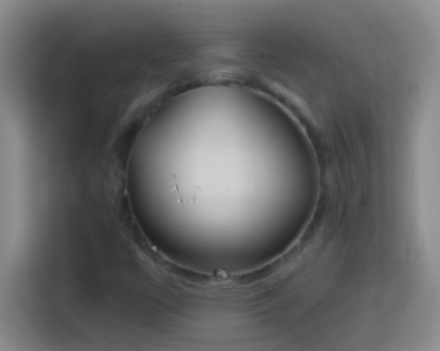 X0000113901447200910011333