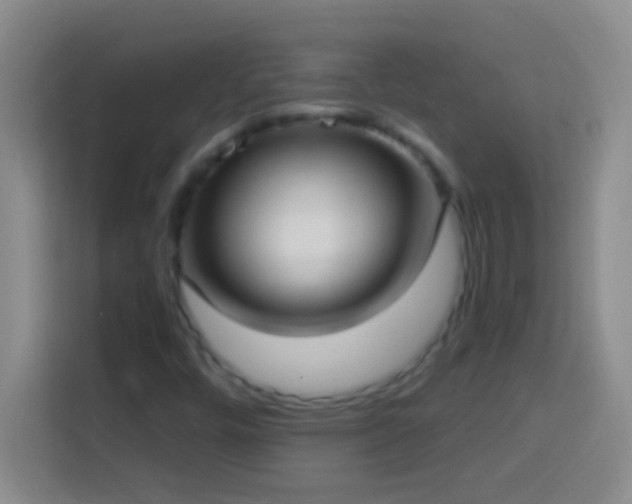 X0000113901448200910011333