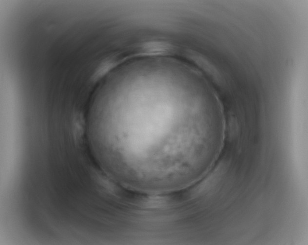 X0000113901449200910011333