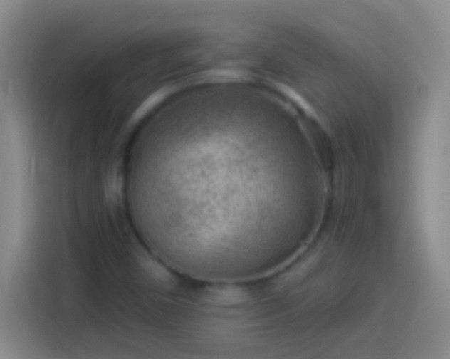 X0000113901450200910011333