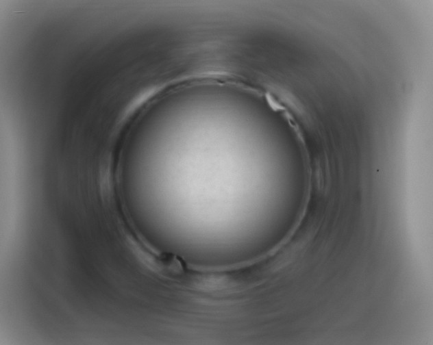 X0000113901452200910011333