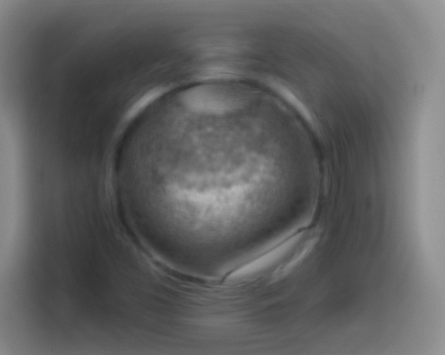 X0000113901453200910011333